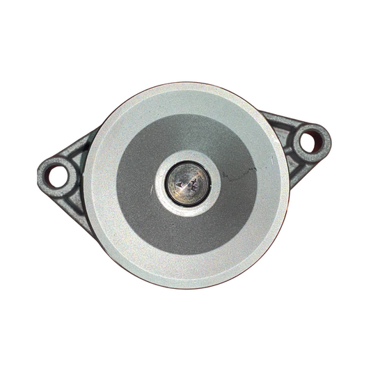 Kit de distribución + bomba de agua Schaeffler / INA 530 0166 30 (motor 1.6)